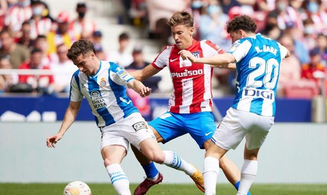 但都是建立 但都是建立