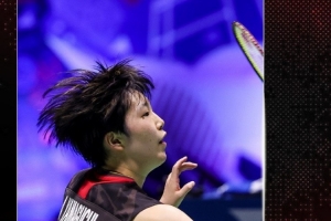 现了极佳的 现了极佳的