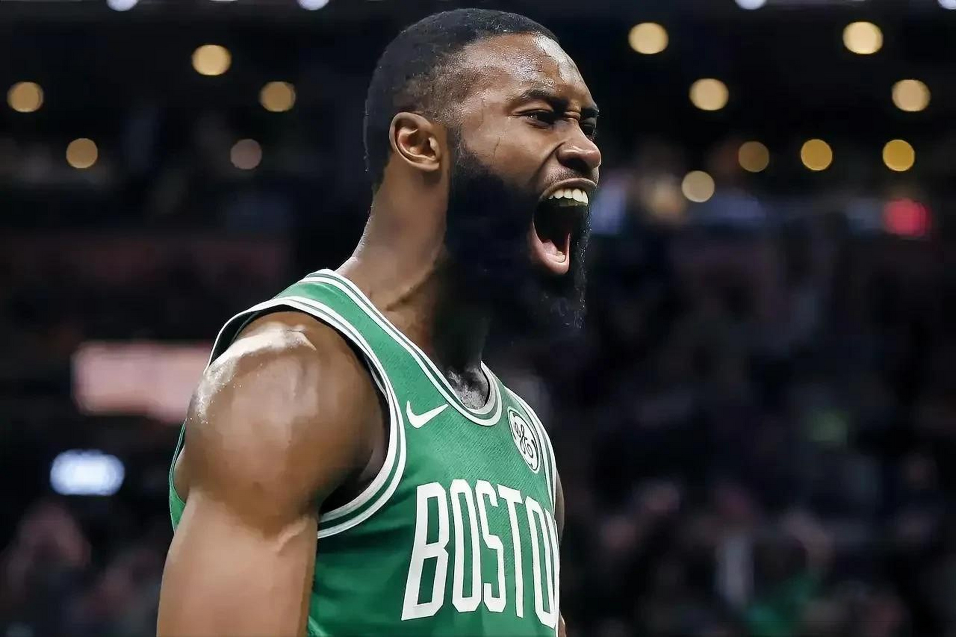 形成了稳定 形成了稳定