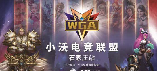 藏役种或手